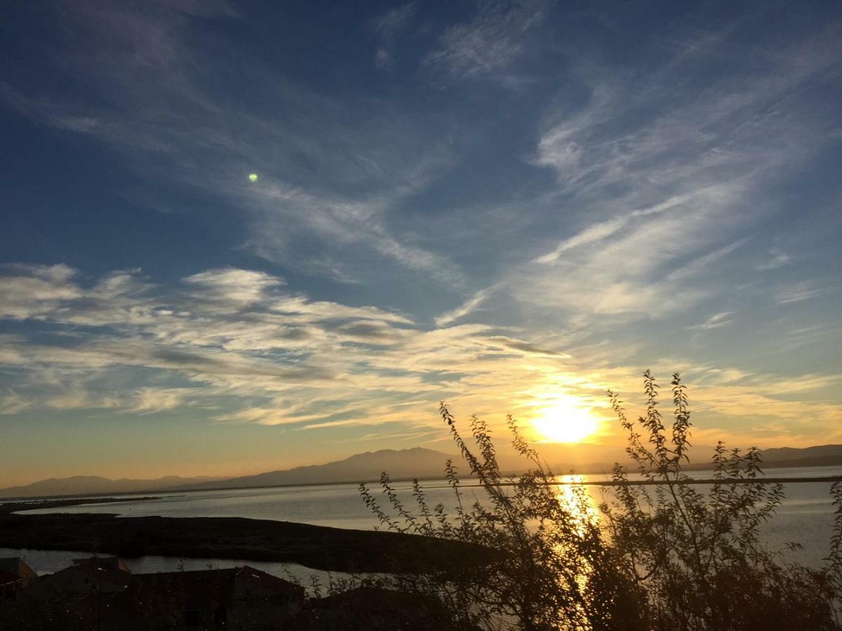 Barcaresa-Agreable Appartement Vue Mer Panoramique Le Barcarès Dış mekan fotoğraf